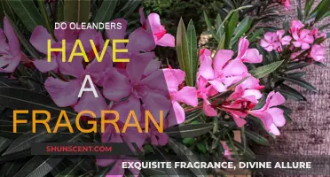 The Fragrance of Oleanders: A Fragrant Mystery Unveiled