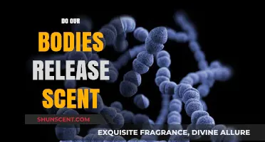 The Science Behind Body Odor: Do Our Bodies Release Scent?