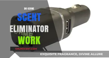 Do Ozone Scent Eliminators Really Work? Uncovering the Truth