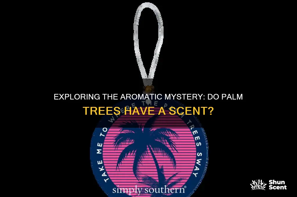 do palm trees have a scent