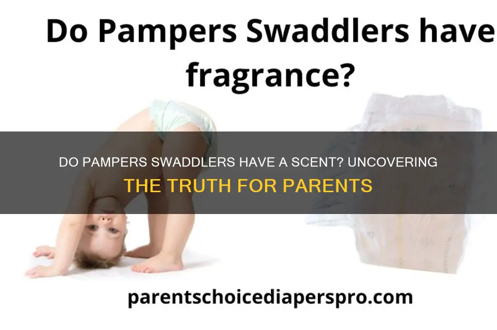 do pampers swaddlers have a scent
