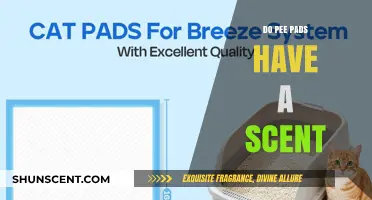 Do Pee Pads Have a Scent? Uncovering the Truth for Pet Owners