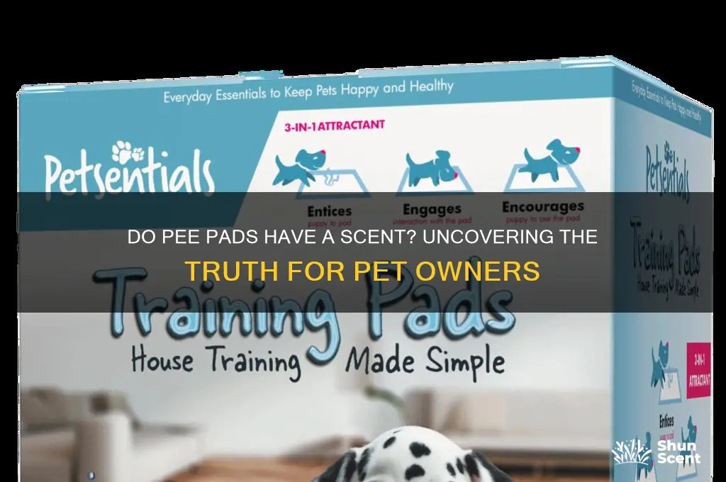 do pee pads have a scent