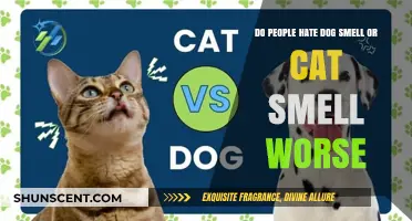 The Great Debate: Dog Smell vs. Cat Smell - Which Is Worse?