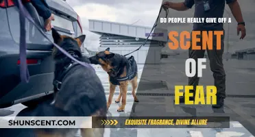 Unveiling the Truth: Do Humans Emit a Detectable Scent of Fear?