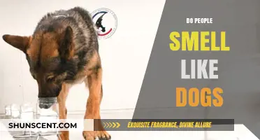 Do Humans Share a Canine Scent? An Olfactory Investigation