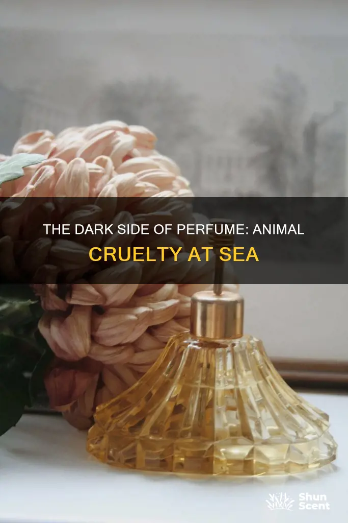 do people still kill sea animals for perfume