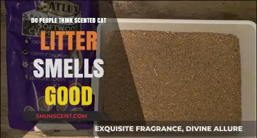 Does Scented Cat Litter Smell Good? Exploring Opinions and Preferences