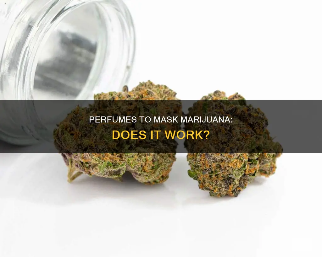 do people try to cover pot smell with perfume