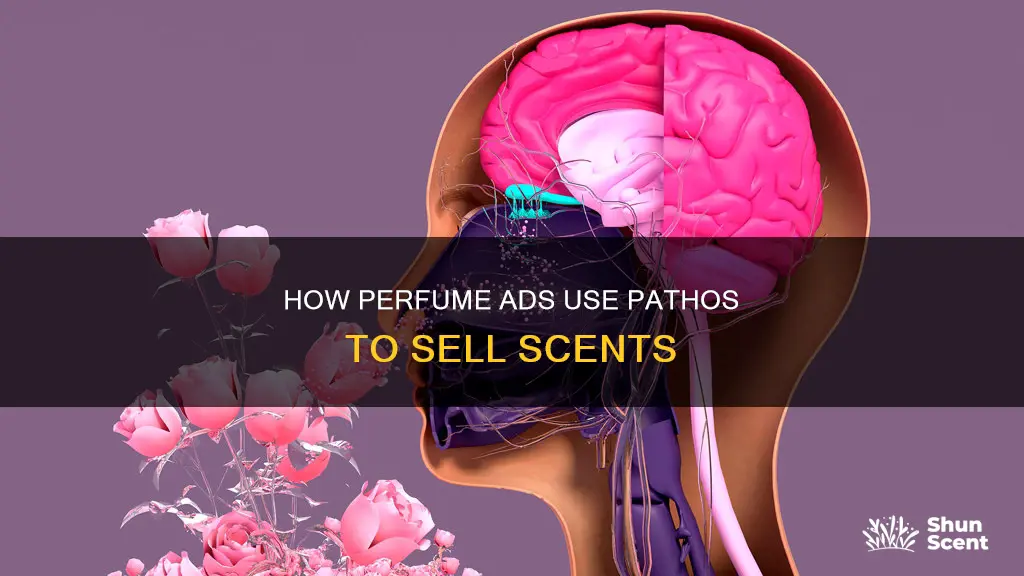 do perfume advertisements use mostly pathos