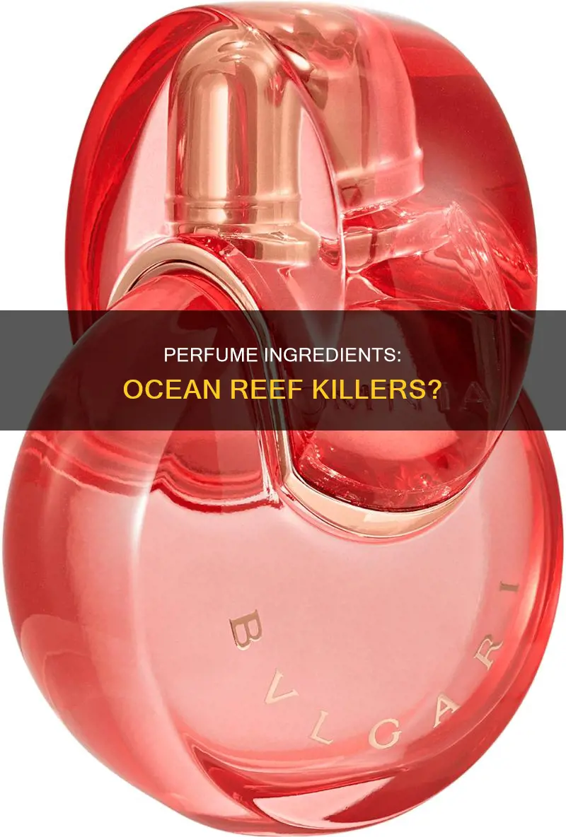 do perfume ingredients harm ocean reefs