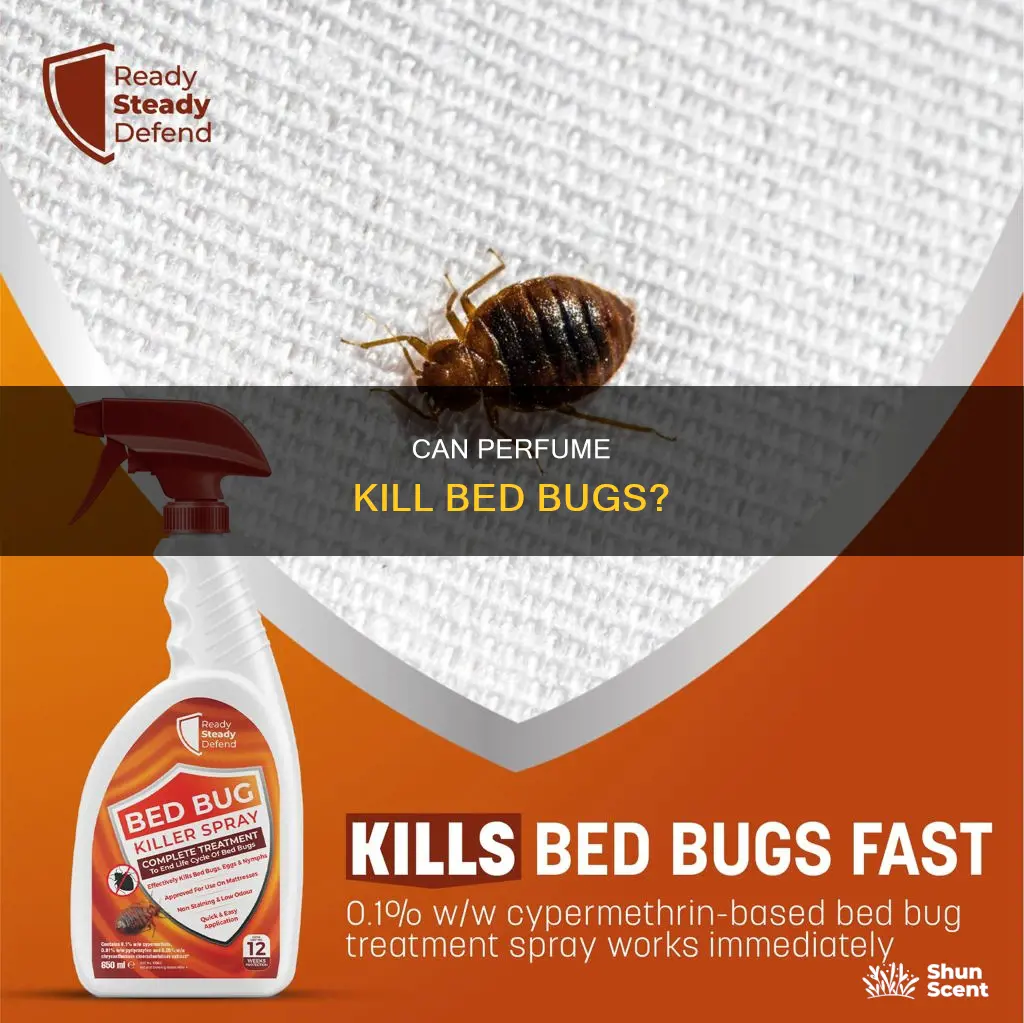 do perfume kill bed bug