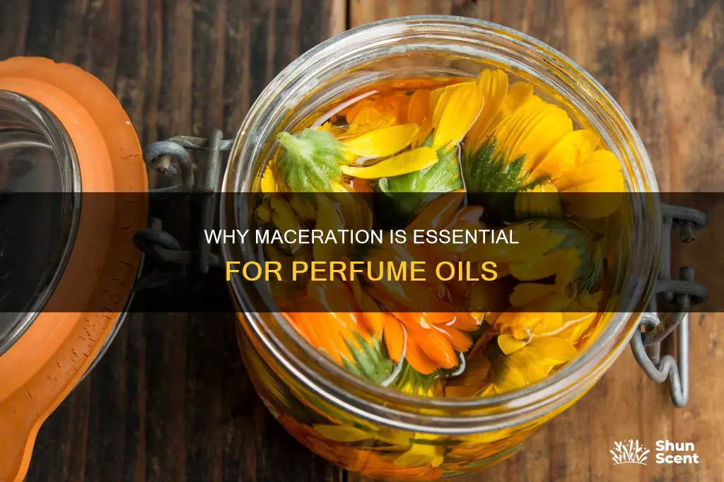 do perfume oils need to macerate