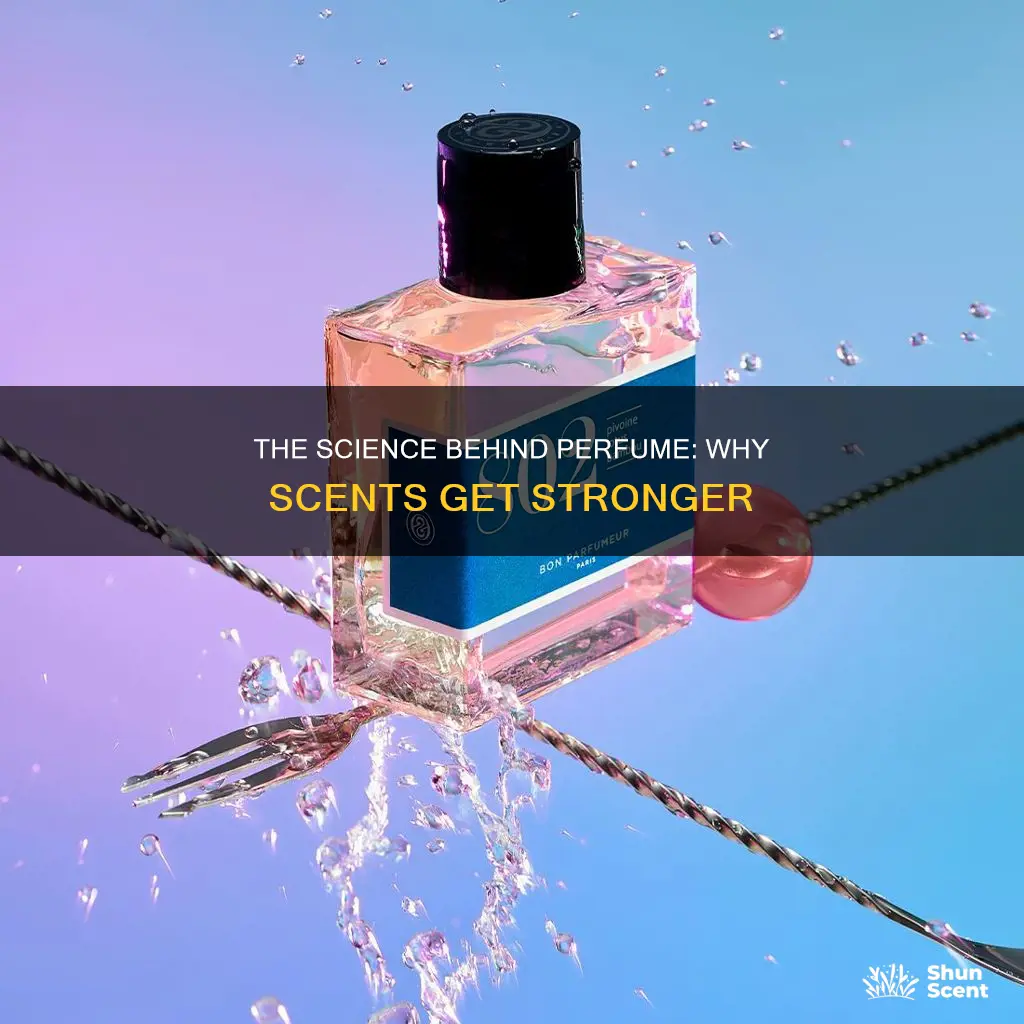 do perfumes get stronger with time
