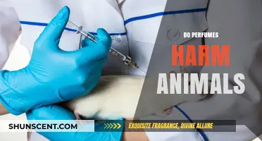 Perfumes: Animal-Friendly or Cruelty in a Bottle?