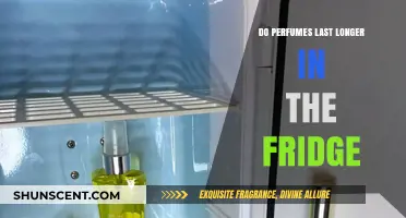 Fridge-Stored Perfumes: Longer-Lasting Fragrance?