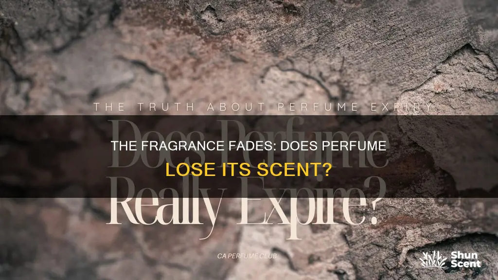 do perfumes lose their scent over time