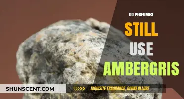 The Use of Ambergris in Modern Perfumes