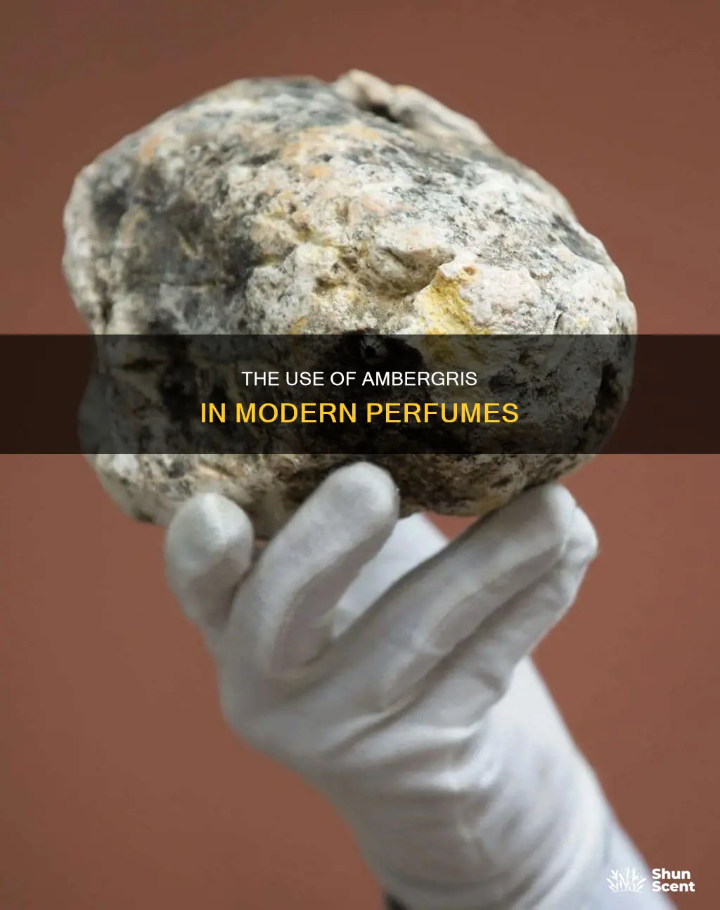 do perfumes still use ambergris