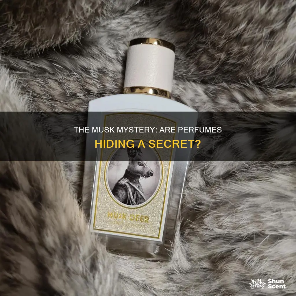do perfumes use real musk