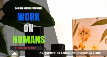 Pheromone Perfumes: Do They Affect Human Attraction?