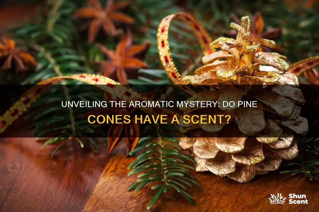 do pine cones have a scent