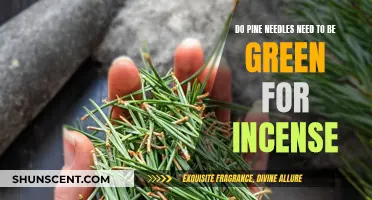 Pine Needle Incense: Green vs. Brown Needles