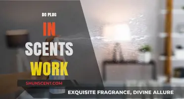 Do Plug-In Scents Work? Uncovering the Truth Behind Air Fresheners