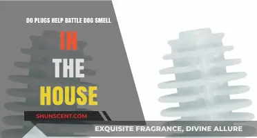 Combatting Canine Odors: The Role of Plugs in a Fresh Home