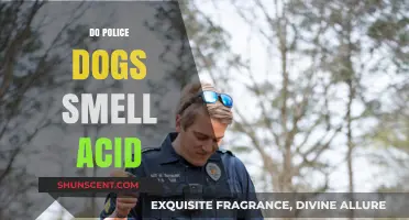 Can Police Dogs Detect Acid? The Science Behind Their Incredible Sense of Smell