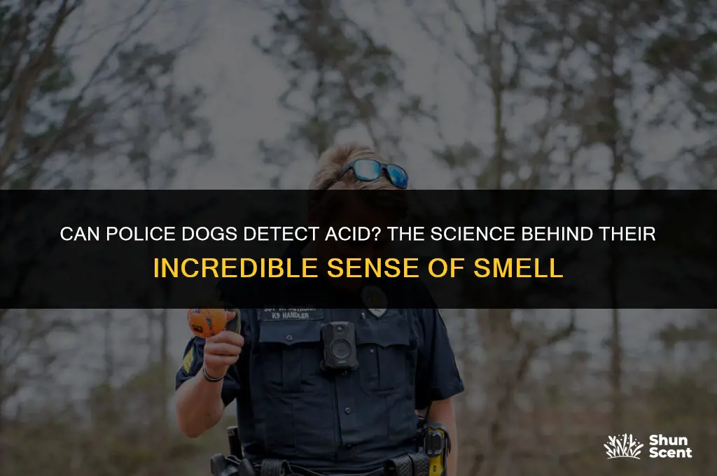 do police dogs smell acid