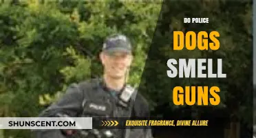 Sniffing Out Danger: Do Police Dogs Detect Firearms?