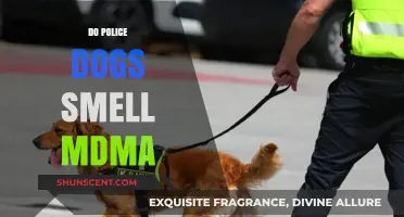 Can Police Dogs Detect MDMA? The Science Behind Their Sniffing Skills