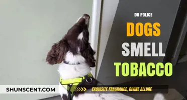 Can Police Dogs Detect Tobacco? The Science Behind Their Skills