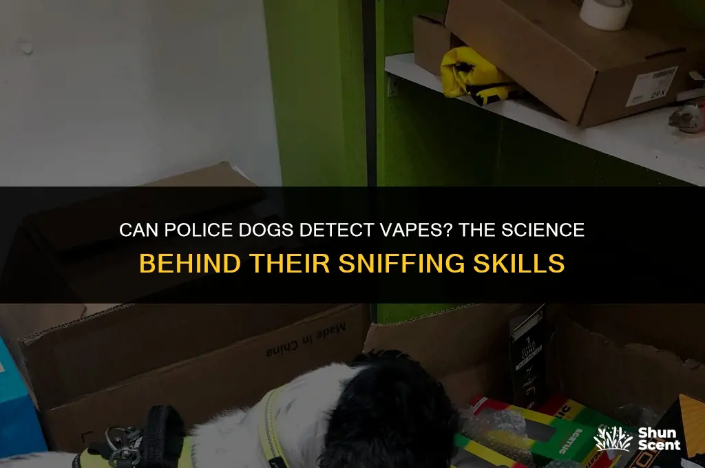 do police dogs smell vapes