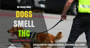 Can Police Drug Dogs Detect THC? Exploring Their Capabilities