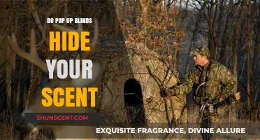 Do Pop-Up Blinds Effectively Conceal Your Scent While Hunting?