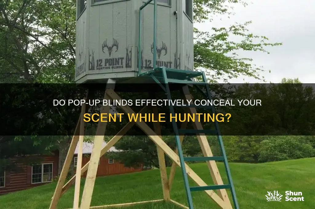 do pop up blinds hide your scent