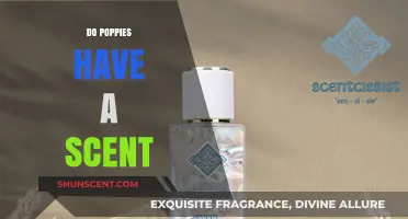 Do Poppies Have a Scent? Unveiling the Fragrant Truth