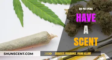 Do Pot Pens Smell? Uncovering the Scent Truth About Vape Pens