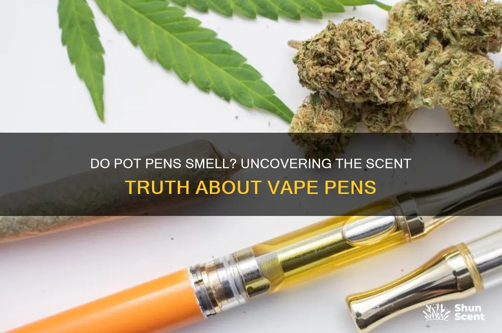 do pot pens have a scent
