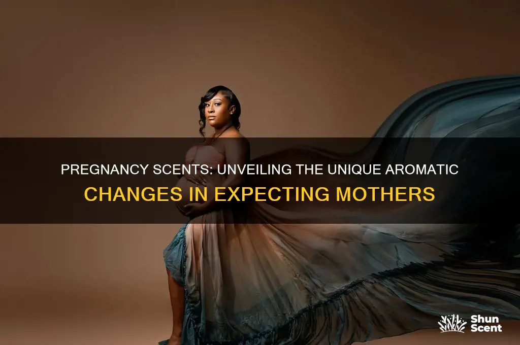 do pregnant women have a scent