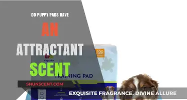 Do Puppy Pads Use Attractant Scents? Uncovering the Training Secret