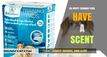 Do Puppy Training Pads Have a Scent? Uncovering the Truth
