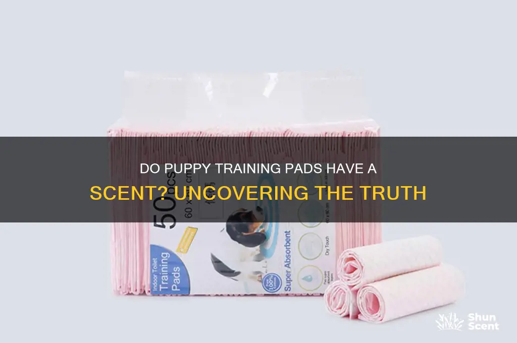 do puppy training pads have a scent