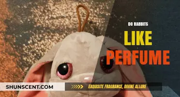 Rabbits and Perfume: A Fragrant Friendship?