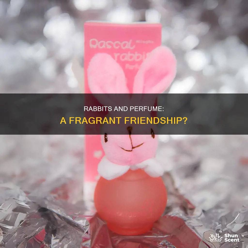 do rabbits like perfume