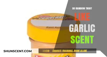 Garlic Scent: Does It Attract Rainbow Trout? Angler Insights