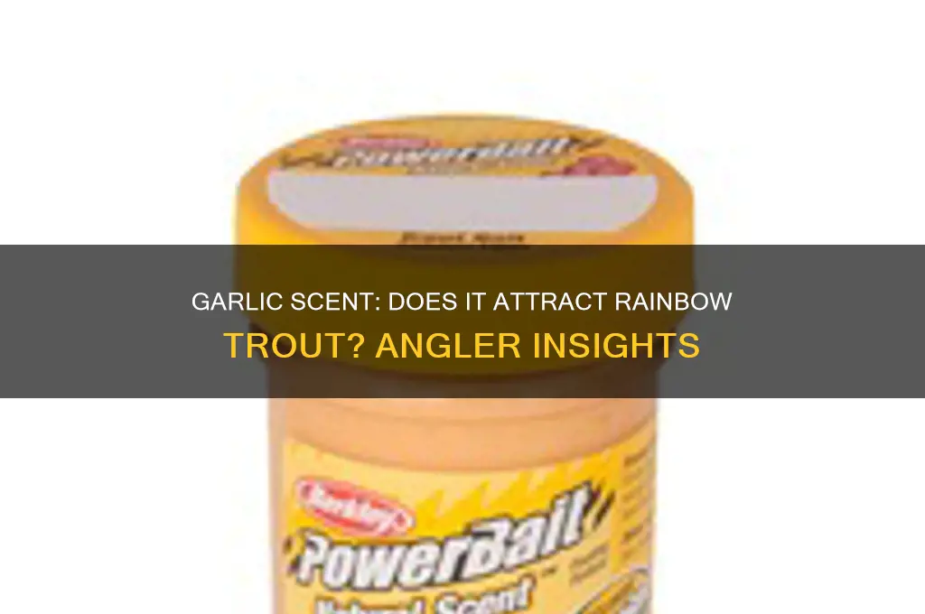do rainbow trout like garlic scent