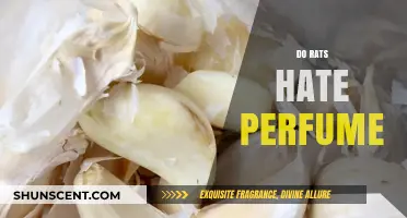Perfumes: A Rat's Worst Nightmare?